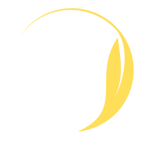 Stephen A. Stepaniuk Foundation